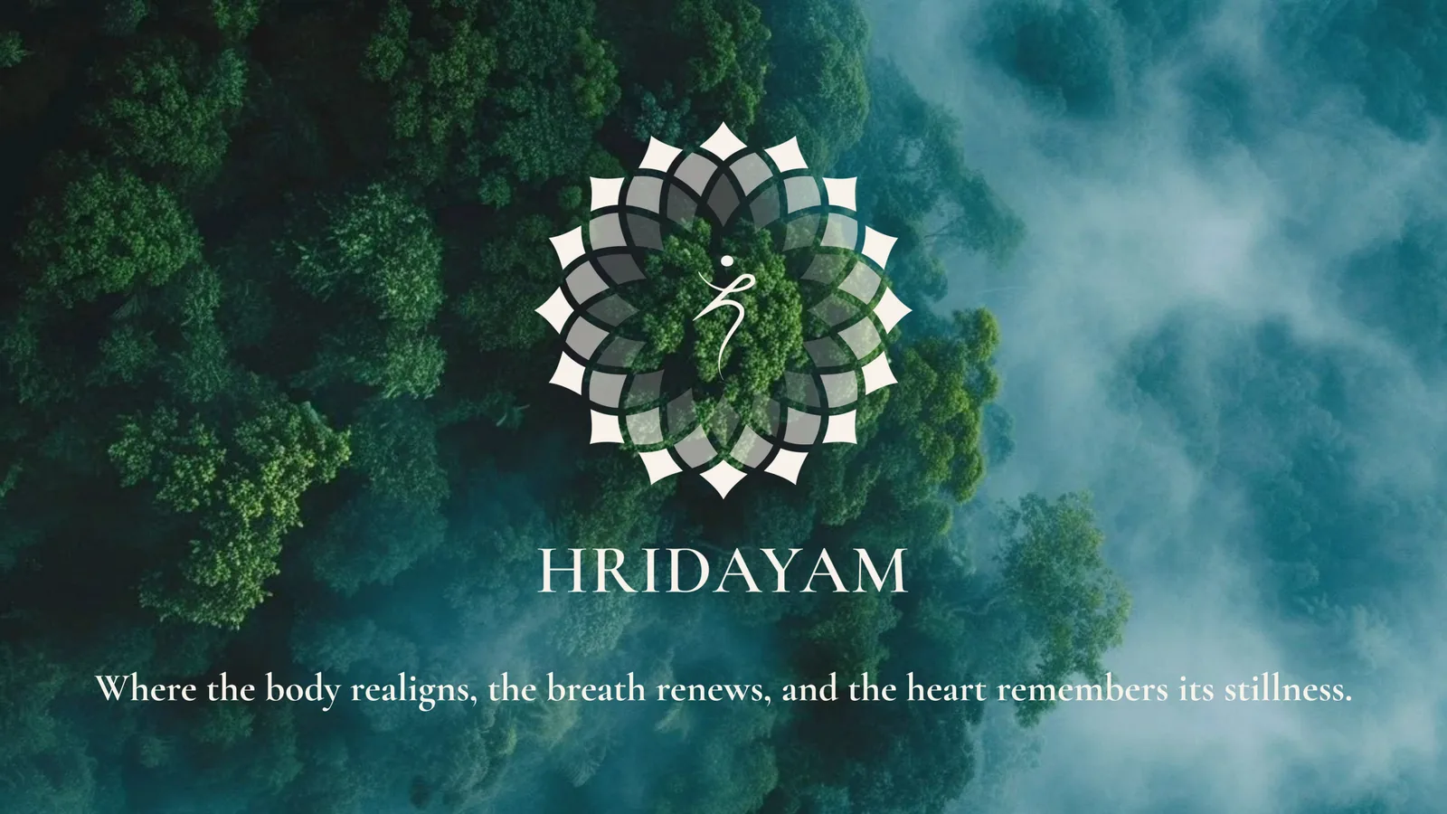 Pitch deck cover with the mark over a forest seen from above