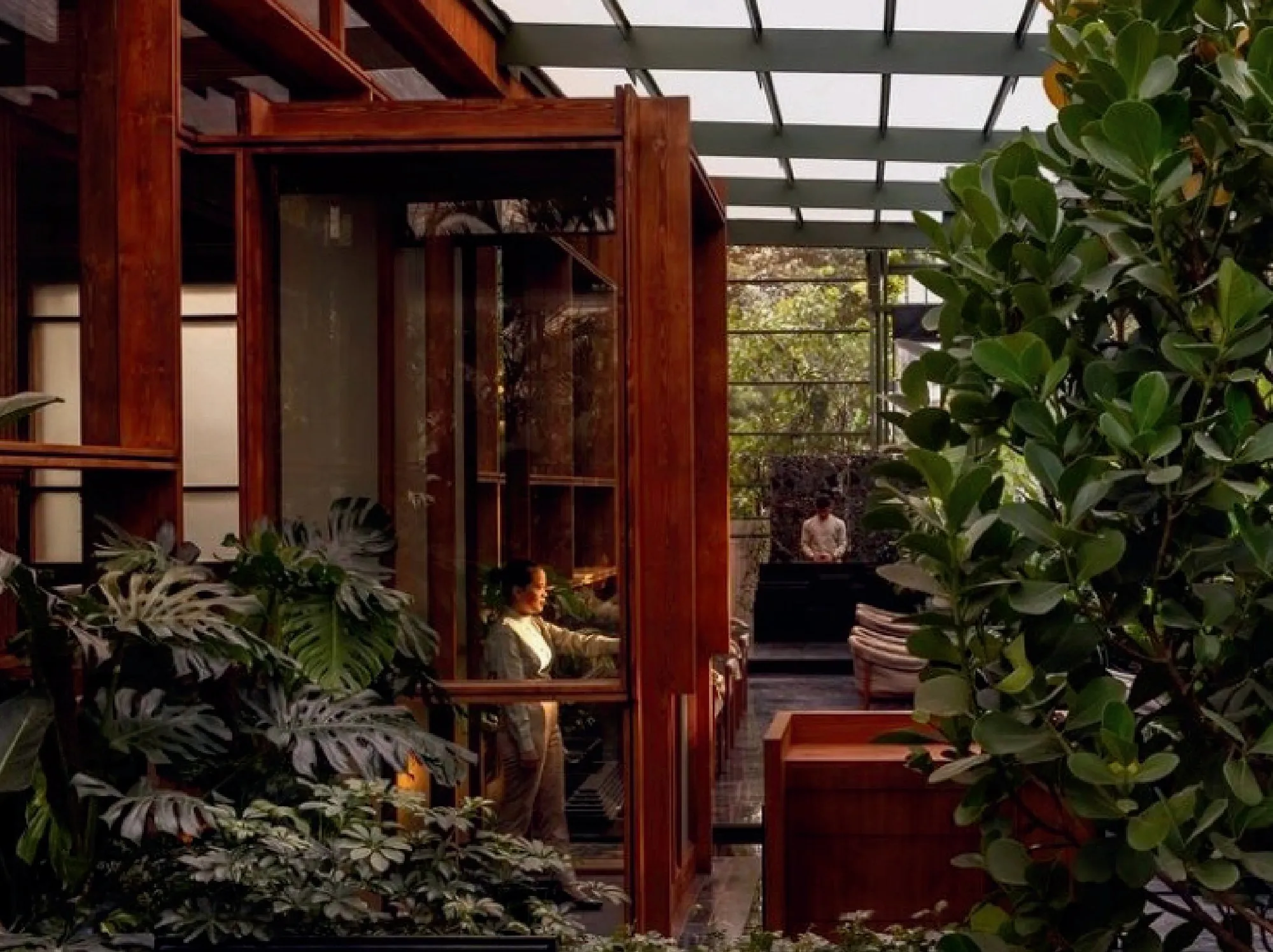 The dining room at Muro: timber frames, glass roof and large leaves